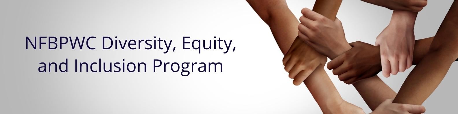 Diversity Equity and Inclusion Program